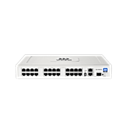 Wiking - 24 Port Megabit PoE, 2 Port Gigabit Uplink, 1 SFP Port Switch